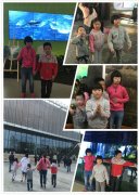 �˲��й滮չ���ݰ�����